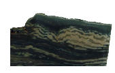 (Stromatolite) Ozarkcollenia laminata
