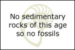 Fossil photos from Precambrian in Georgia